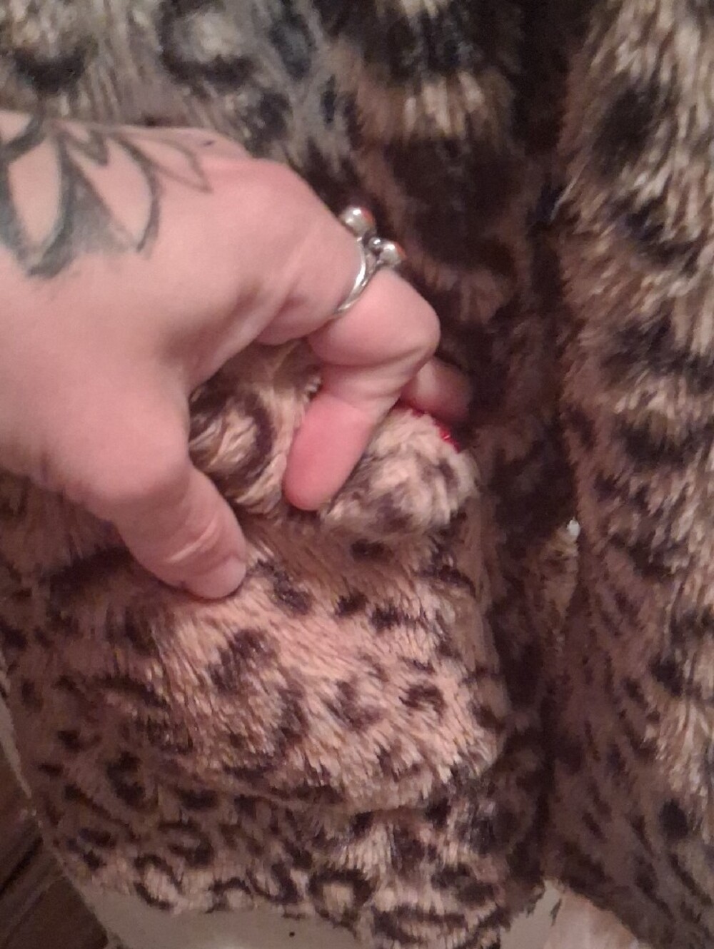 Urban Republic Girls' Leopard Print Faux Fur Jacket with Red Lining Size 6X - Picture 3 of 12